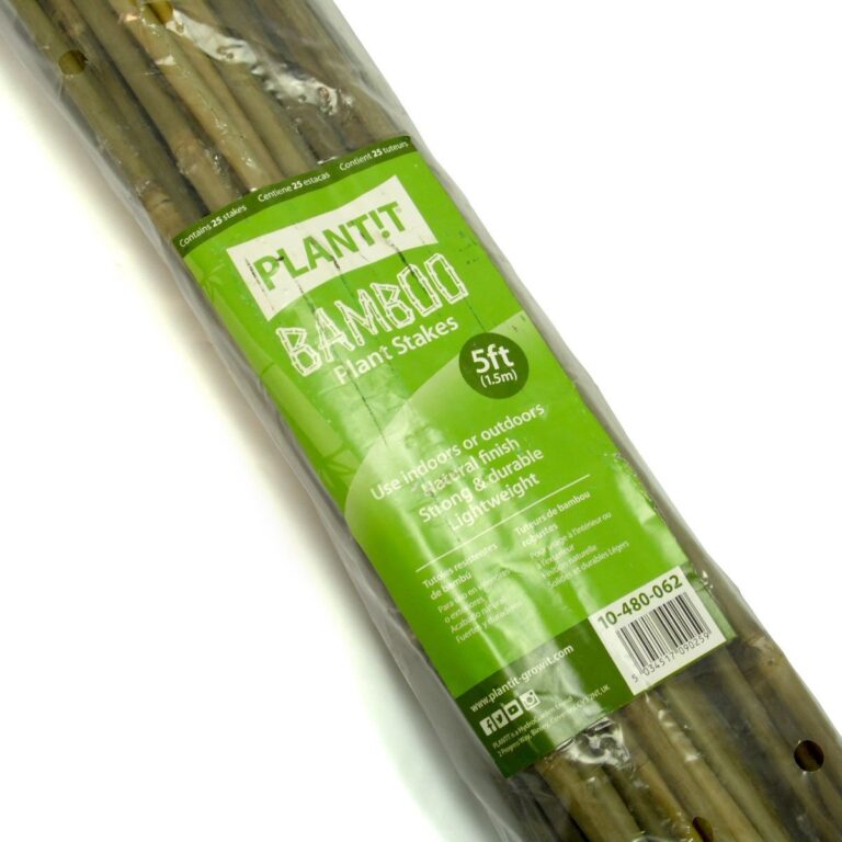 Bamboo 25 Pack (Plant It)