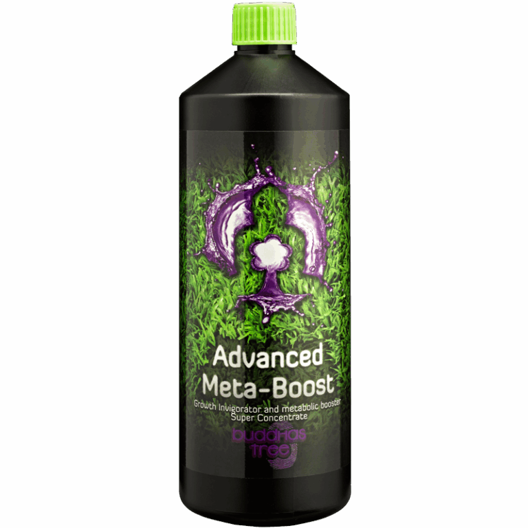 Buddhas Tree Meta Boost