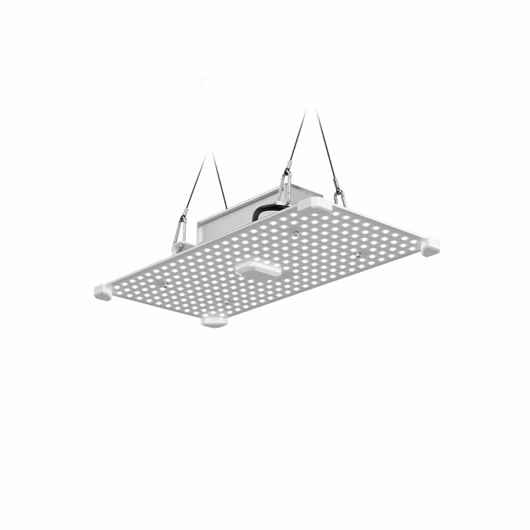 LUMii Black Blade 100W LED