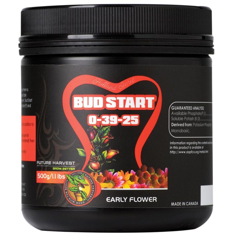 Holland Secret Bud Start