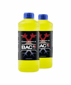 BAC Coco Bloom A&B