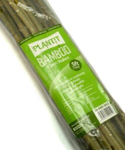 Bamboo 25 Pack (Plant It)