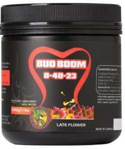 Holland Secret Bud Boom