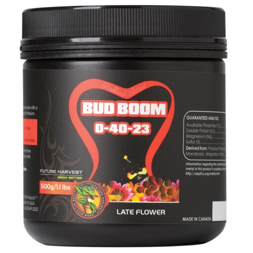 Holland Secret Bud Boom