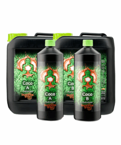 Buddhas Tree Coco A&B