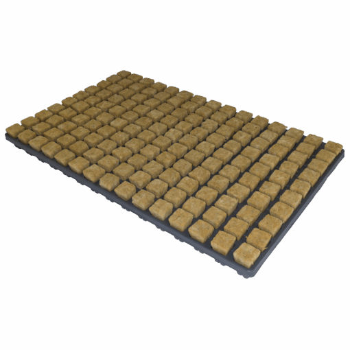 Cultiwool Starter Plugs