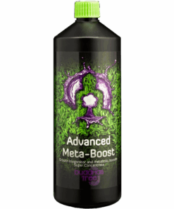 Buddhas Tree Meta Boost