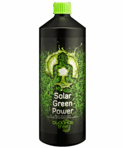 Buddhas Tree Solar Green
