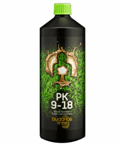Buddhas Tree PK9-18