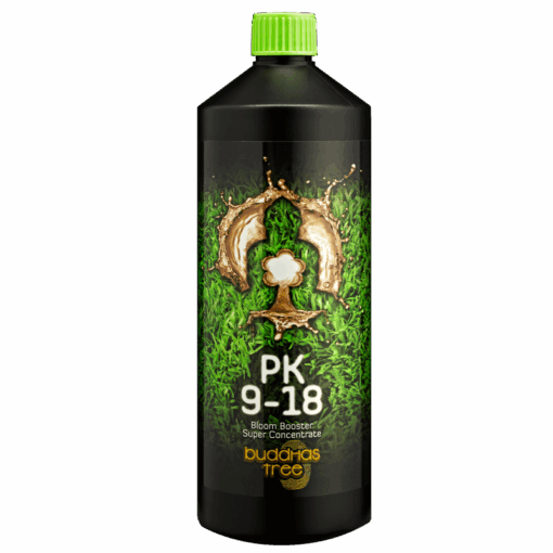 Buddhas Tree PK9-18