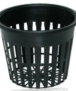 IWS DWC Basket