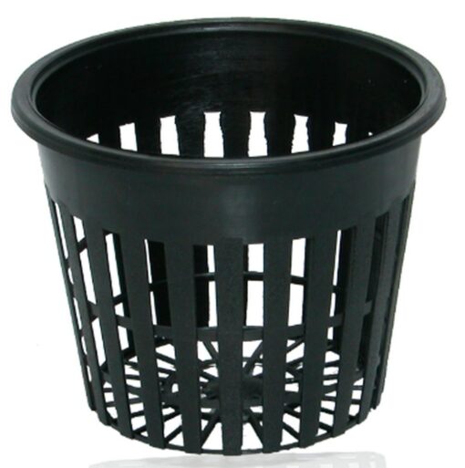 IWS DWC Basket