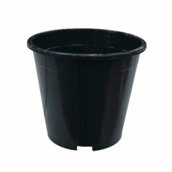 Round Pots