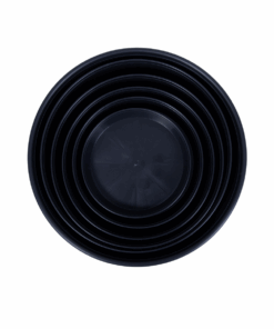 Round Saucers