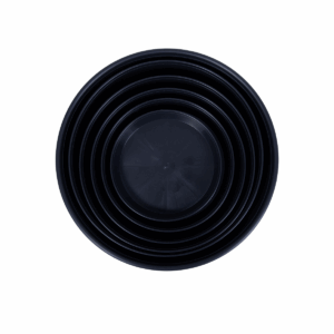 Round Saucers