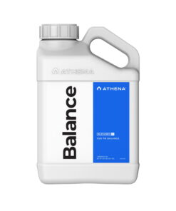 Athena Blended Balance