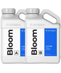 Athena Blended Bloom A&B