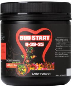 Holland Secret Bud Start