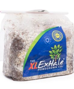 Exhale Co2 Bags