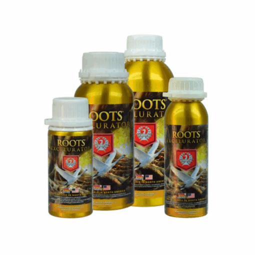 House & Garden Root Excelurator Gold