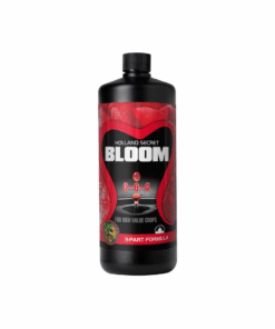 Holland Secret Bloom
