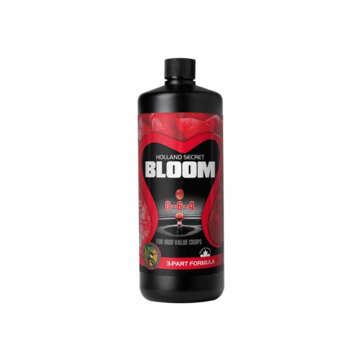 Holland Secret Bloom