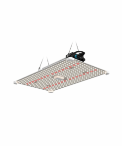 LUMii Black Blade 200W LED