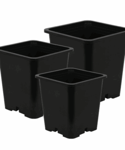 IV:XX Square Plastic Pots