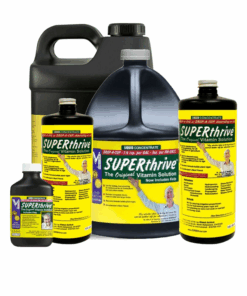 Superthrive