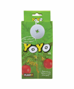 Plant Yoyo x 8