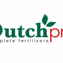 Dutch Pro