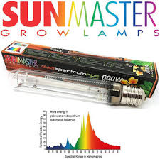 HPS Lamps