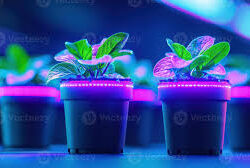 Grow Lights